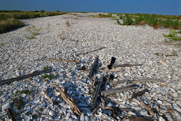 photo of Wreck Island Natural Area Preserve