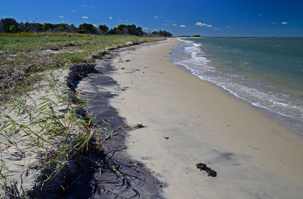 Parramore Island Natural Area Preserve