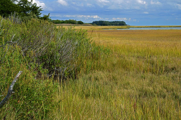 Mutton Hunk Fen Natural Area Preserve