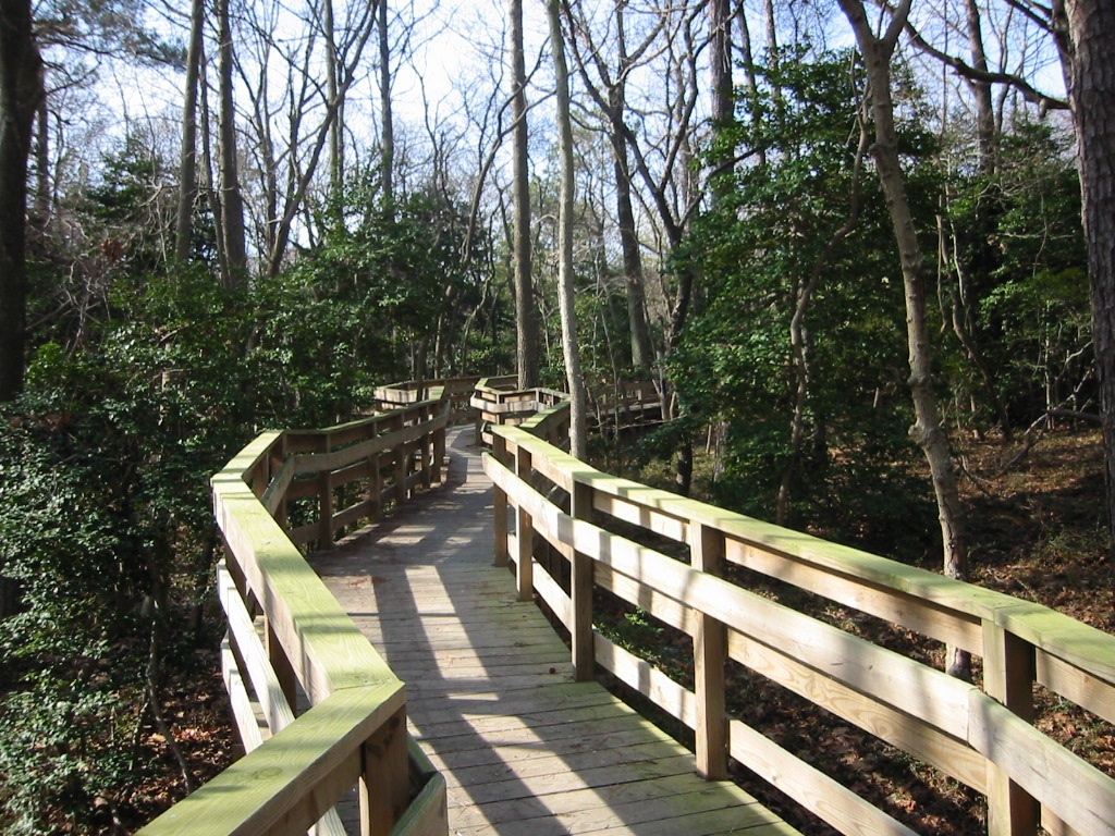 Cape Charles Coastal Habitat Natural Area Preserve