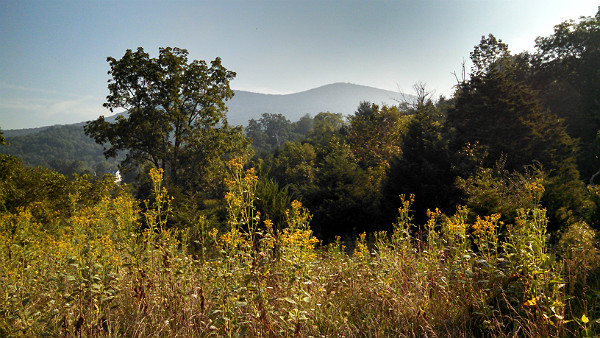 Clover Hollow Natural Area Preserve