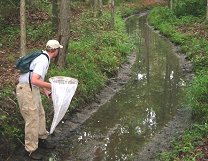 photo of field zoologist inventorying for rare species