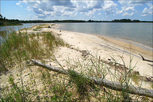 Dameron Marsh Natural Area Preserve