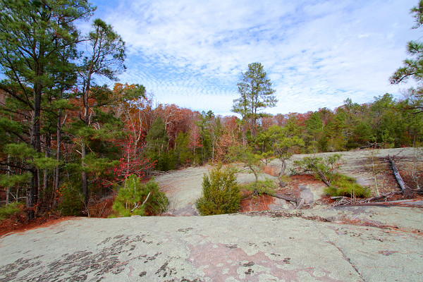 Dundas Granite Flatrock Natural Area Preserve