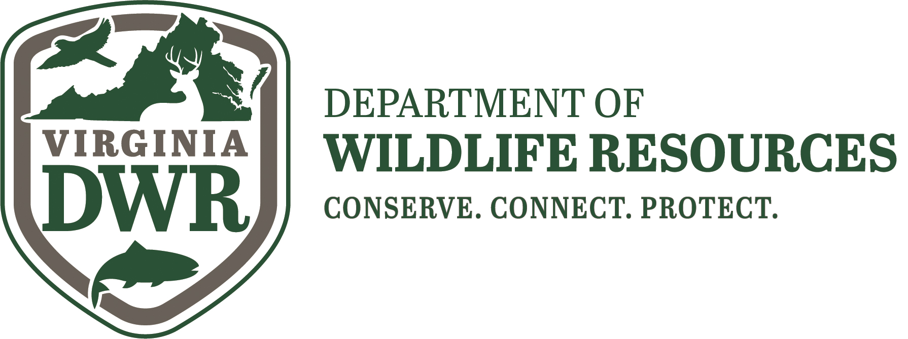 DWR logo