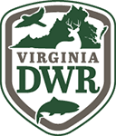 dwr logo