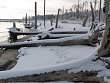 Snowy shoreline