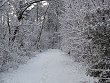 Snowy trail