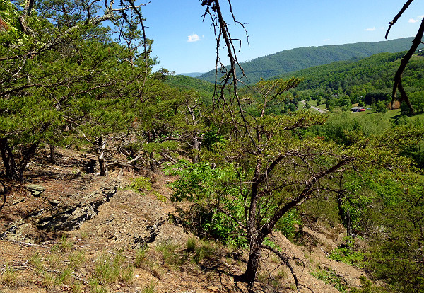 Johnsons Creek Natural Area Preserve