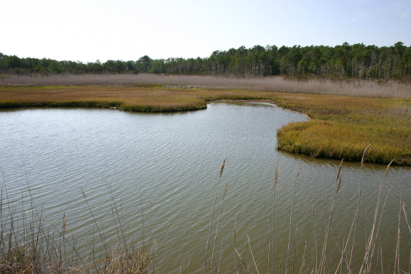 Magothy Bay Natural Area Preserve