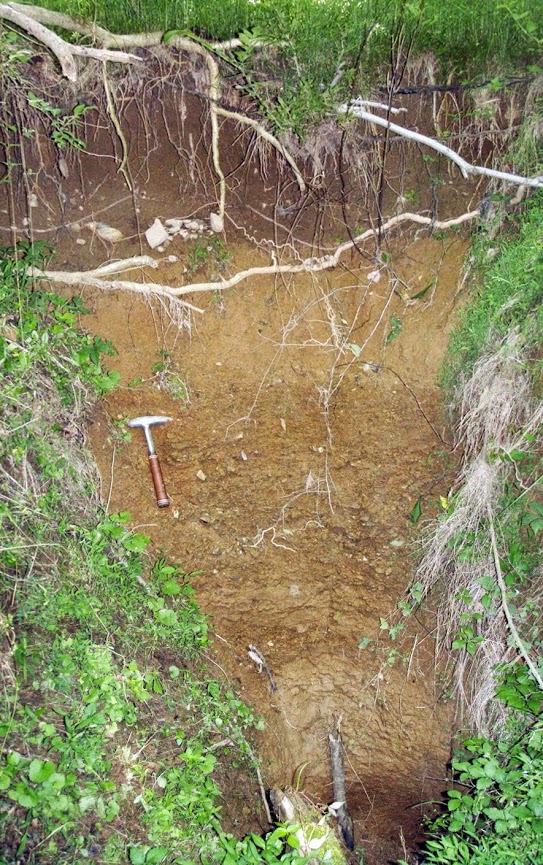 A Residents Guide To Sinkholes