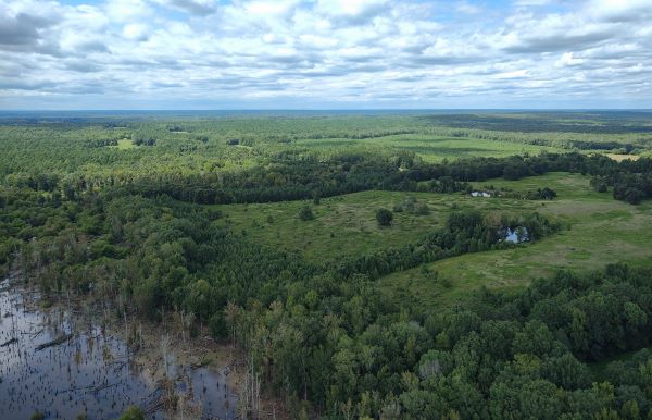 Southside Savannah Natural Area Preserve