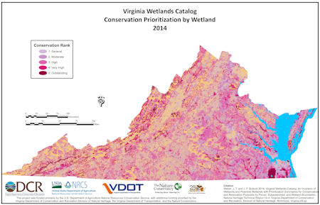 map of wetland boundaries