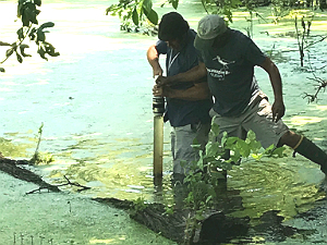 water sampling