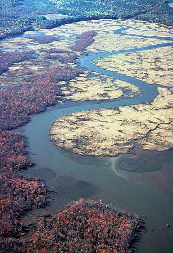 photo of estuarine system