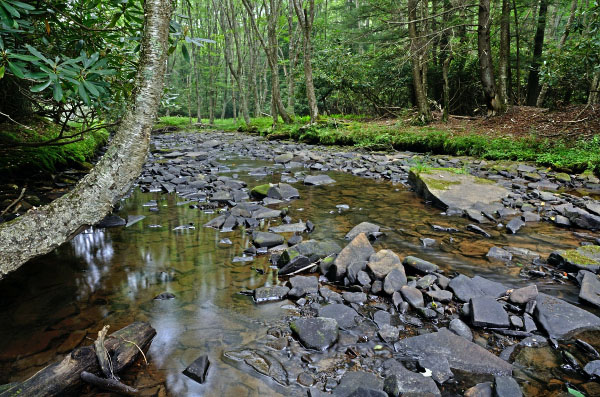 photo of high energy tidal river