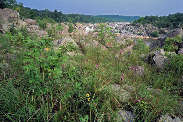 photo of riverside prairie