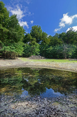 photo of high energy tidal river