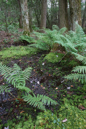 photo of high energy tidal river