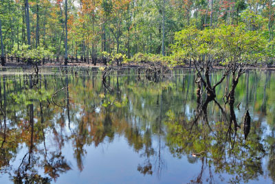 photo of high energy tidal river