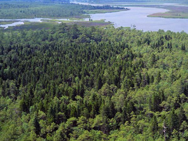 photo of high energy tidal river