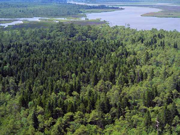 photo of high energy tidal river