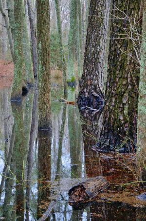 photo of high energy tidal river