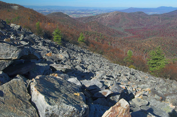 photo of low elevation boulderfield forest