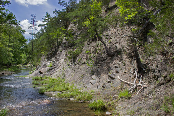 photo of shale barren