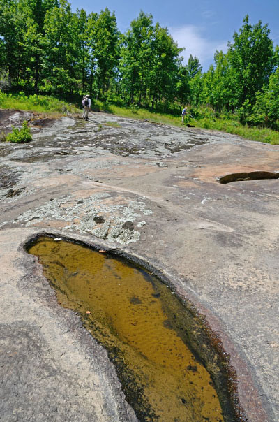 photo of piedmont granitic flatrock