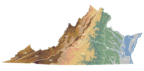 This link opens a new browser window to display a larger photo