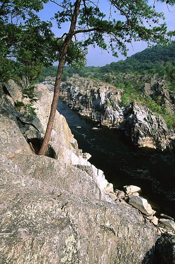 photo of Potomac Gorge rock outcrops