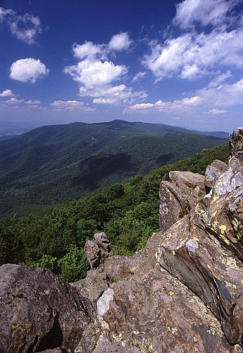 Photo of rock outcrops and forest