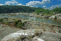 Potomac Gorge Riverside Outcrop Barren – CEGL006491