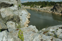 Potomac Gorge Riverside Outcrop Barren – CEGL006491
