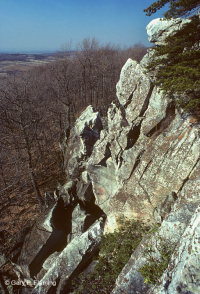 Central Appalachian / Piedmont Acidic Cliff – CEGL004391