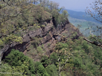 Southern Appalachian Mesic Calcareous Cliff – CEGL008435