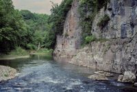Appalachian Xeric Calcareous Cliff – CEGL004476