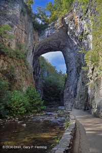 Appalachian Xeric Calcareous Cliff – CEGL004476