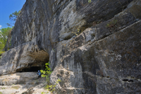 Appalachian Xeric Calcareous Cliff - CEGL004476