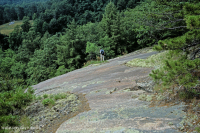 Appalachian Low-Elevation Acidic Outcrop Barren (Cliff Saxifrage Type) – CEGL004524
