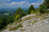 Central Appalachian Mafic / Calcareous Barren (Mid-Elevation Type) – CEGL008529