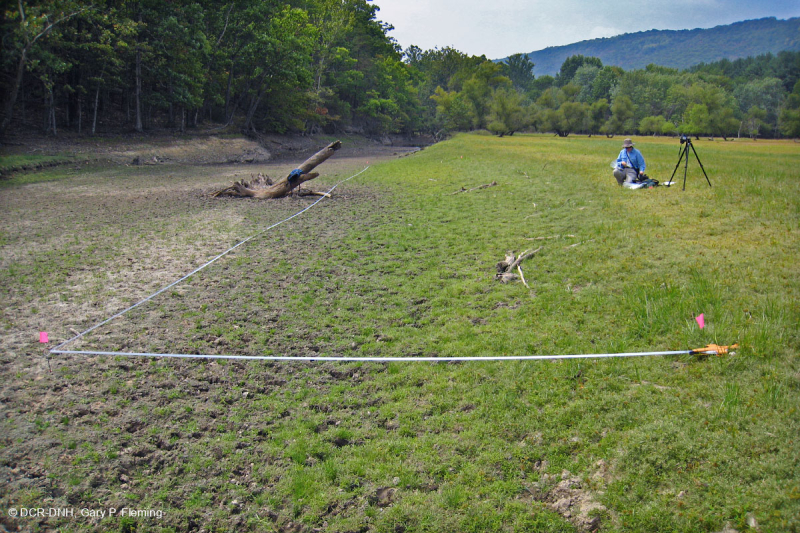 Piedmont / Central Appalachian Sand Bar / River Shore (Low Herbs Type) – CEGL006483