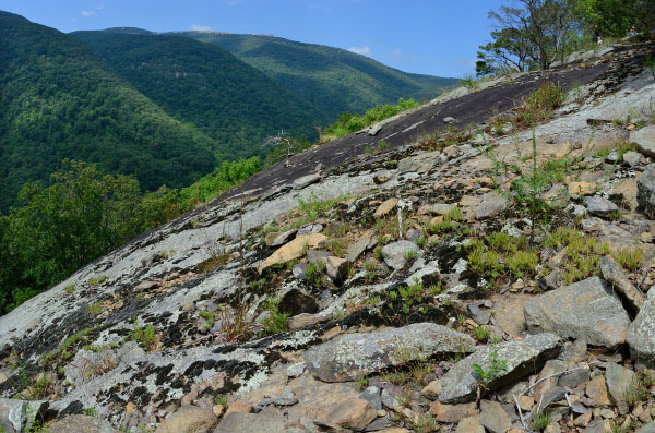 Crawfords Knob Natural Area Preserve
