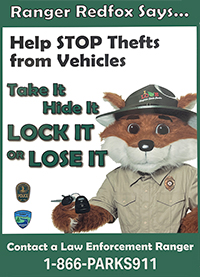 Stop vehicle theft