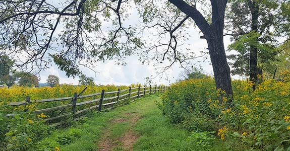 The Appalachian Trail runs through Sky Meadows State Park