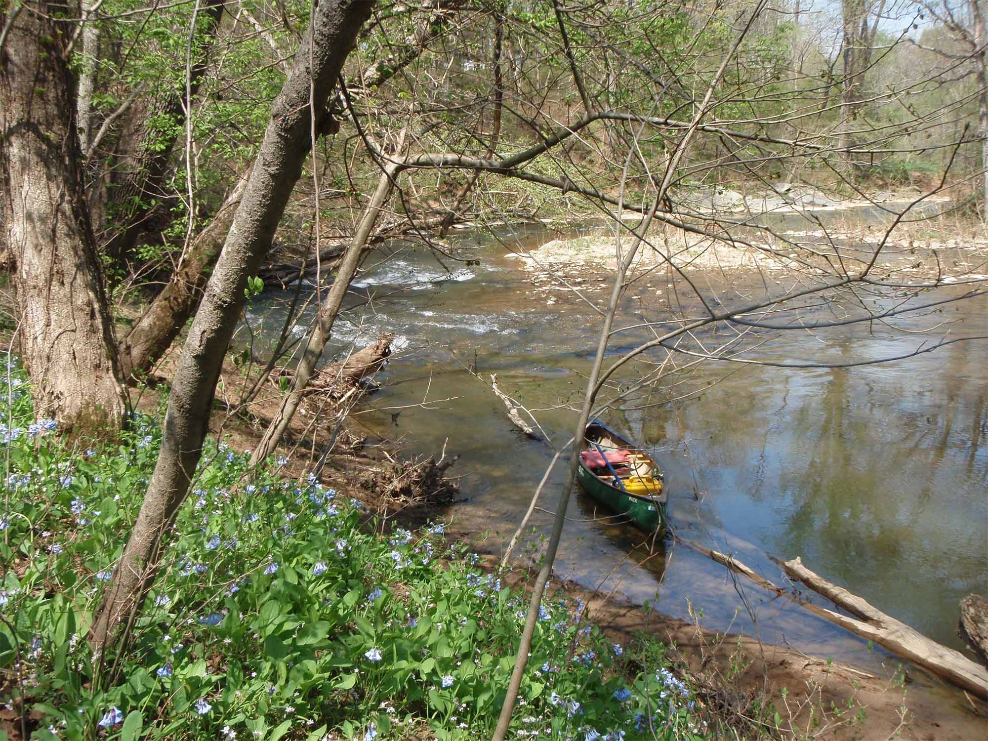 Catoctin Creek between Taylorstown and the Potomac River. Photo: Mark Jeffries