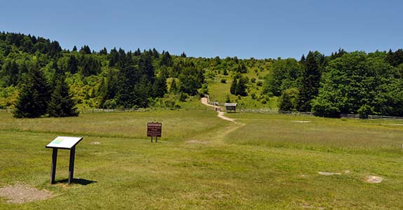 Trail at Grayson Highlands State Park