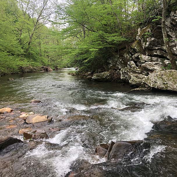 Clinch River