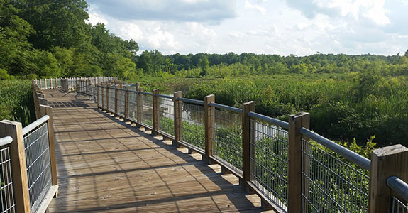 Tuckahoe Creek Greenway